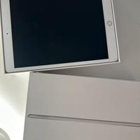 Ipad apple