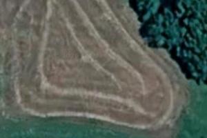 Campo per vigneto