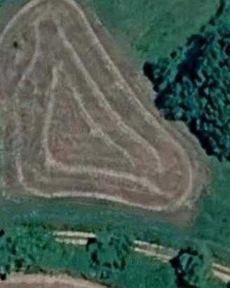 Campo per vigneto