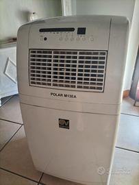 condizionatore portatile 