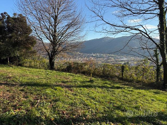 Terreno Agricolo Nembro [Cod. rif 3282803VCG] - Vista 5