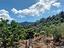 Immagine 13