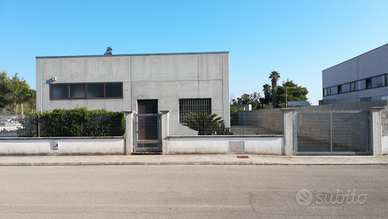 Zollino Zona industriale Capannone