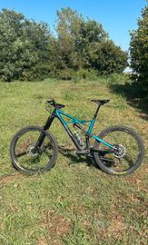 Specialized Enduro Elite Carbon 2017