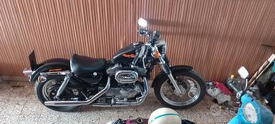 Sportster 883 asi fmi