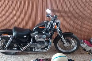 Sportster 883 asi fmi