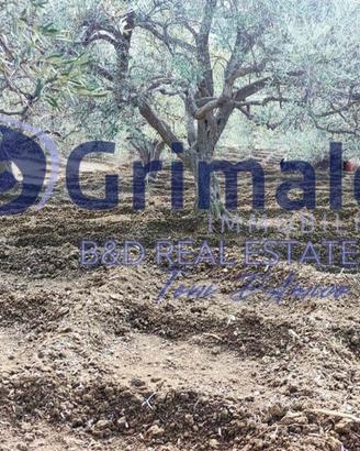 Terreno Agricolo Bagheria [TerM/1VCG]