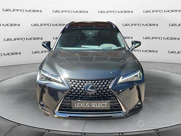 Lexus UX Hybrid Flare-Luxury 4WD MY22