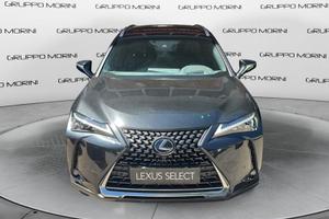 Lexus UX Hybrid Flare-Luxury 4WD MY22