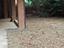 Immagine 10