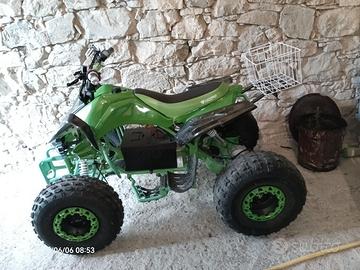 Quad elettrico