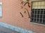 Immagine 4