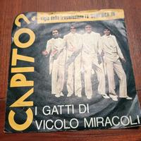 i gatti di vicolo di miracoli 