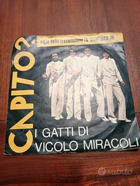 i gatti di vicolo di miracoli 