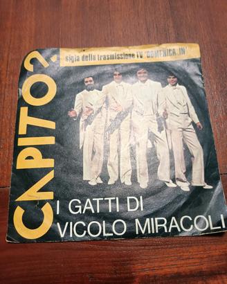 i gatti di vicolo di miracoli 
