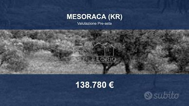 Immobile in asta di 56539 m² a Mesoraca