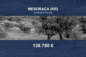 Immobile in asta di 56539 m² a Mesoraca