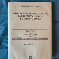Trattato di Diritto Civile - Cervale