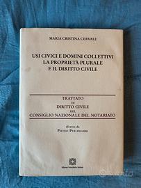 Trattato di Diritto Civile - Cervale