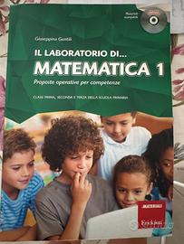 Il laboratorio di matematica 1