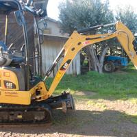 Miniescavatore CAT.301.7D CR