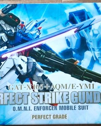 GUNDAM  1/60 Strike O.M.N.I. Enforcer PG.
