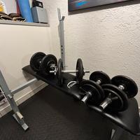 Panca  piana/ inclinata + 4 manubri con 36kg