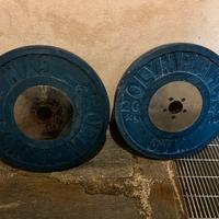 Dischi bumper foro 50