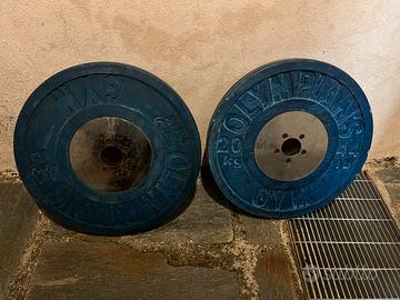 Dischi bumper foro 50