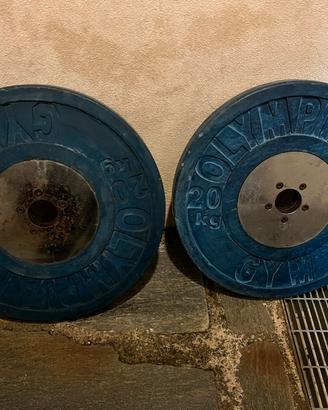 Dischi bumper foro 50