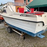 Gobbi 499 Pilot