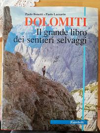 Bonetti lazzarin libri montagna