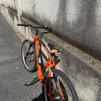 Bicicletta galant nevada