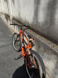 Bicicletta galant nevada