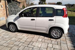 Panda...economica 