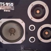 Cassa acustica TENSAI TS-950 80 WATTS