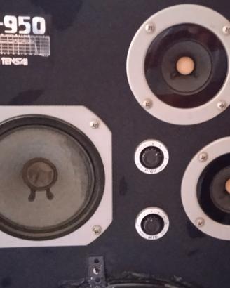 Cassa acustica TENSAI TS-950 80 WATTS