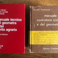 Manuale geometra / perito agrario