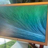 monitor cinema display apple 20 pollici