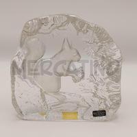 SCOIATTOLO TRASP KOSTA