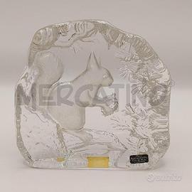 SCOIATTOLO TRASP KOSTA