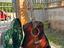 Immagine 1