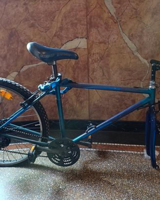 Bici MTB 26