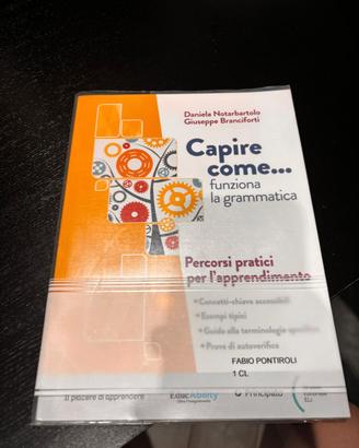 Testi scolastici classe 1 liceo classico 