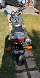Hornet 600