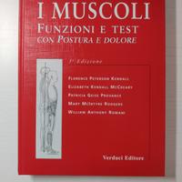 Muscoli funzioni e test con postura e dolore