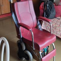 Scoiattolo Montascale per Disabili