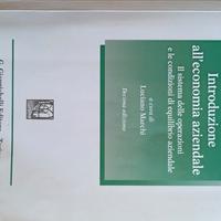 Introduzione all'economia aziendale