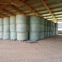 fieno primo e secondo taglio