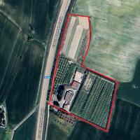 Azienda agricola in piena produzione